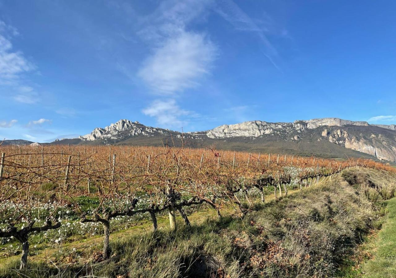Alojamiento Rural Coliving Sojuela Εξωτερικό φωτογραφία